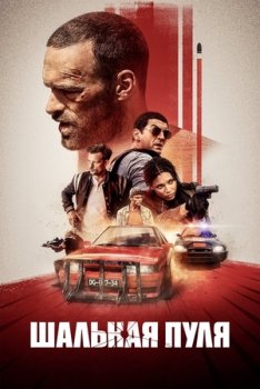 Шальная пуля 1